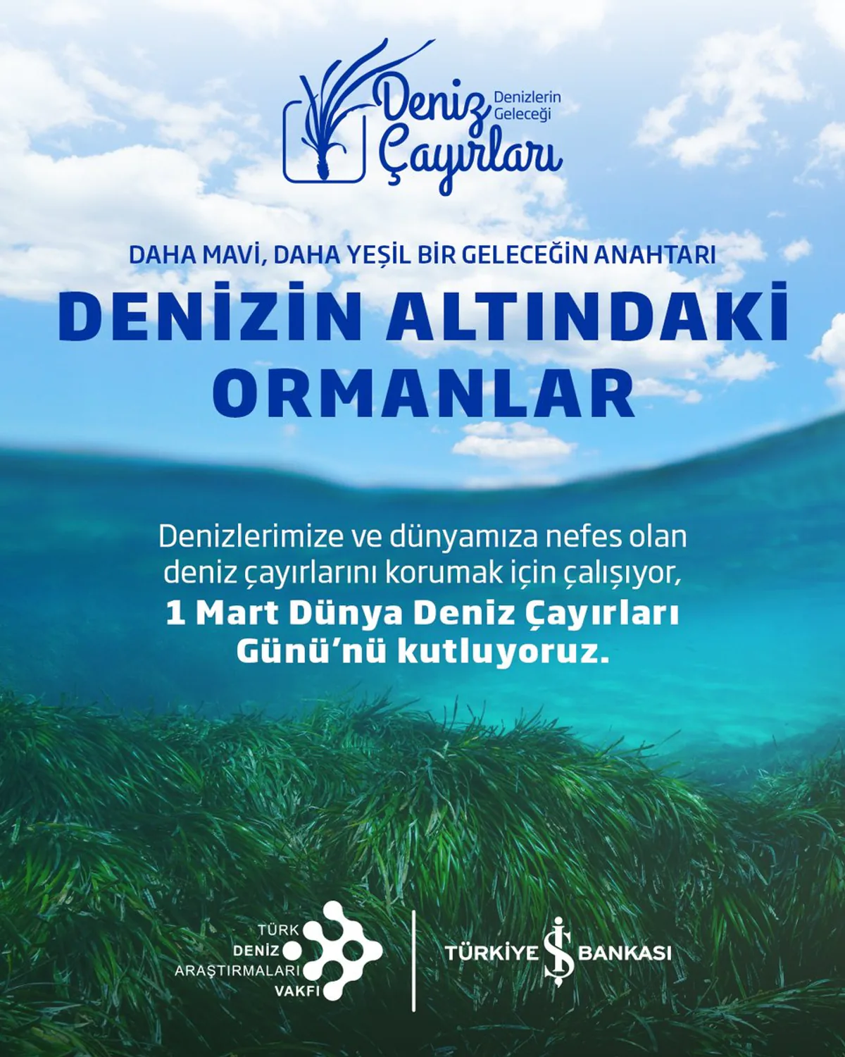 Sürdürülebilir bir gelecek için denizlerimizin ormanlarına ve deniz çayırlarına sahip çıkışı Sürdürülebilir bir gelecek için denizlerimizin ormanlarına ve deniz çayırlarına sahip çıkışı