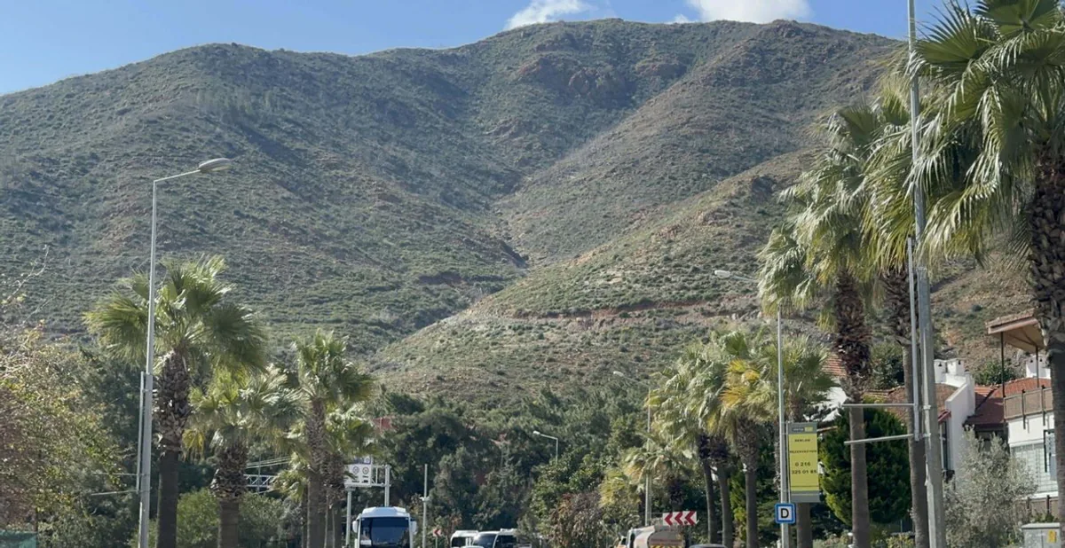 Marmaris'te Yanan Ormanlarda Fidancılık Başladı Marmaris'te Yanan Ormanlarda Fidancılık Başladı