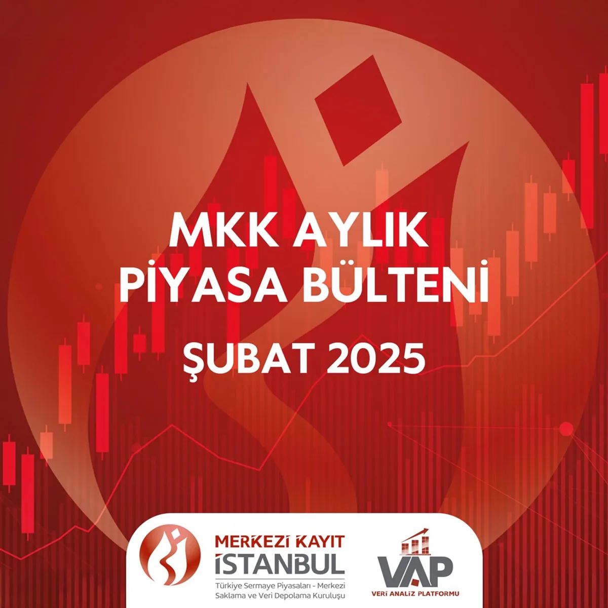 MMK'nın Şubat 2025 Aylık Piyasa Bülteni Yayınlandı MMK'nın Şubat 2025 Aylık Piyasa Bülteni Yayınlandı