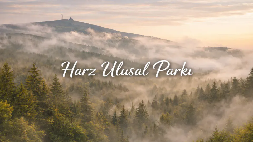 Almanya'nın Doğal Mirası: Müritz Milli Parkı'nın Ekolojik Dünyası görseli
