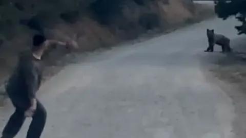 Bolu Mudurnu'da ormanda ayıyla karşılaştılar: Taş atarak kurtulduklar