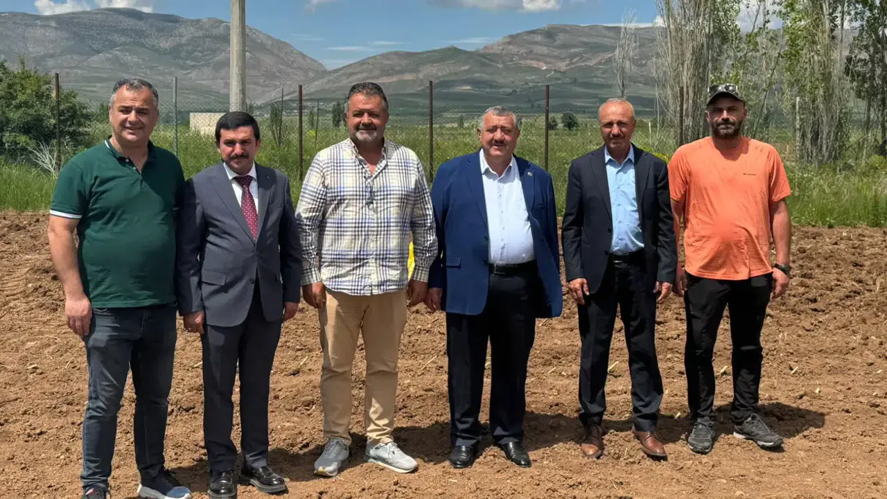 Kelkit'te Hayvancılık İçin Yeni Dönem: Verimi Yüksek Fil Otu Denemeleri Başladı Kelkit'te Hayvancılık İçin Yeni Dönem: Verimi Yüksek Fil Otu Denemeleri Başladı