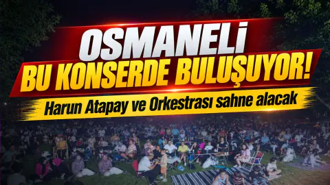Osmaneli'de Müzik Dolu Gece: Harun Atapay Sahne Alıyor