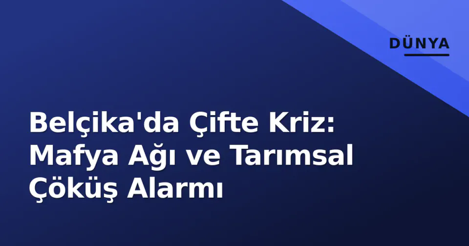 Belçika'da Çifte Kriz: Mafya Ağı ve Tarımsal Çöküş Alarmı görseli