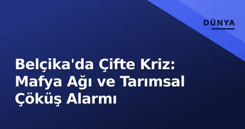 Belçika'da Çifte Kriz: Mafya Ağı ve Tarımsal Çöküş Alarmı