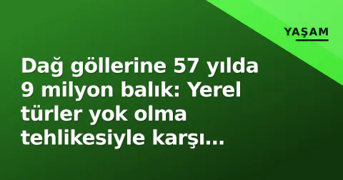 Dağ göllerine 57 yılda 9 milyon balık: Yerel türler yok olma tehlikesiyle karşı karşıya