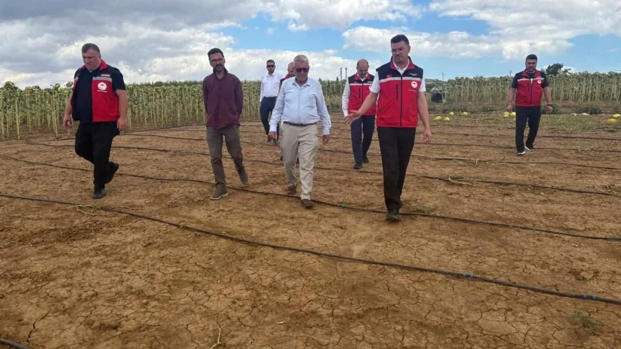 Tekirdağ'da Dolu Yağışı Sonrası Tarım A inde Hasar Tespit Çalışmaları Başladı Tekirdağ'da Dolu Yağışı Sonrası Tarım A inde Hasar Tespit Çalışmaları Başladı