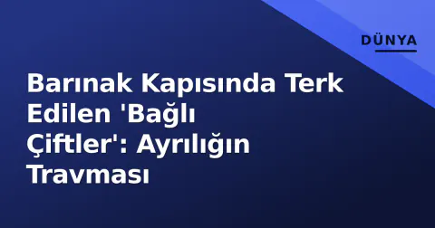Barınak Kapısında Terk Edilen 'Bağlı Çiftler': Ayrılığın Travması