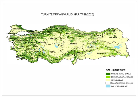 Siirt'e Yeni Orman Bölge Müdürlüğü Kuruluyor: Batman'ın Bağlılığı Değişiyor
