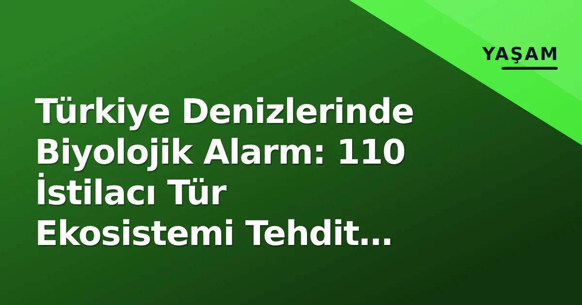 Türkiye Denizlerinde Biyolojik Alarm: 110 İstilacı Tür Ekosistemi Tehdit Ediyor Türkiye Denizlerinde Biyolojik Alarm: 110 İstilacı Tür Ekosistemi Tehdit Ediyor