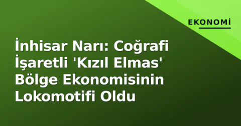 İnhisar Narı: Coğrafi İşaretli 'Kızıl Elmas' Bölge Ekonomisinin Lokomotifi Oldu