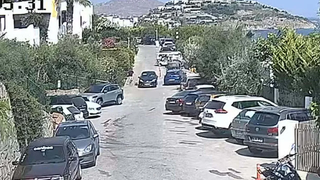Bodrum'da 'Çinko' Davasında Karar: Köpeğin Ölümüne Neden Olan Sürücü Beraat Etti Bodrum'da 'Çinko' Davasında Karar: Köpeğin Ölümüne Neden Olan Sürücü Beraat Etti