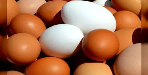 Yumurta Geri Çağırılma Alarmı: 1.6 Milyon Düzine Ürün