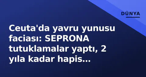 Ceuta'da yavru yunusu faciası: SEPRONA tutuklamalar yaptı, 2 yıla kadar hapis cezası öngörülüyor