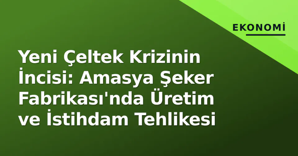 Yeni Çeltek Krizinin İncisi: Amasya Şeker Fabrikası'nda Üretim ve İstihdam Tehlikesi görseli