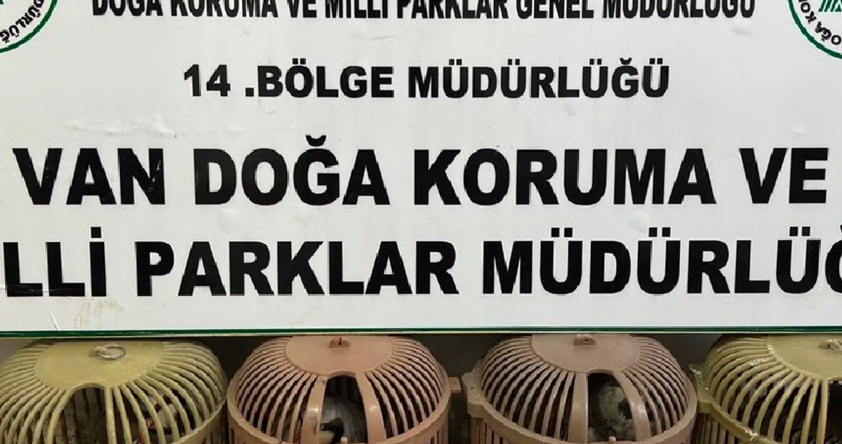 Van'da Kaçak Avcılığa Ağır Darbe: 51 Bin TL Para Cezası Van'da Kaçak Avcılığa Ağır Darbe: 51 Bin TL Para Cezası