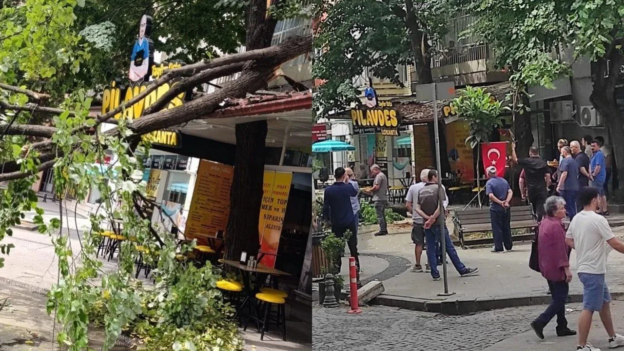 Kocaeli İzmit'te Korkutan Anlar: Dev Ihlamur Ağacı İş Yerinin Üzerine Devrildi Kocaeli İzmit'te Korkutan Anlar: Dev Ihlamur Ağacı İş Yerinin Üzerine Devrildi