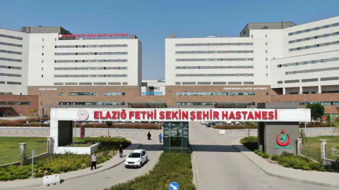 Palu'da yol kenarında bulunan polis memuru Şindi hayatını kaybetti, sürücü tutuklandı