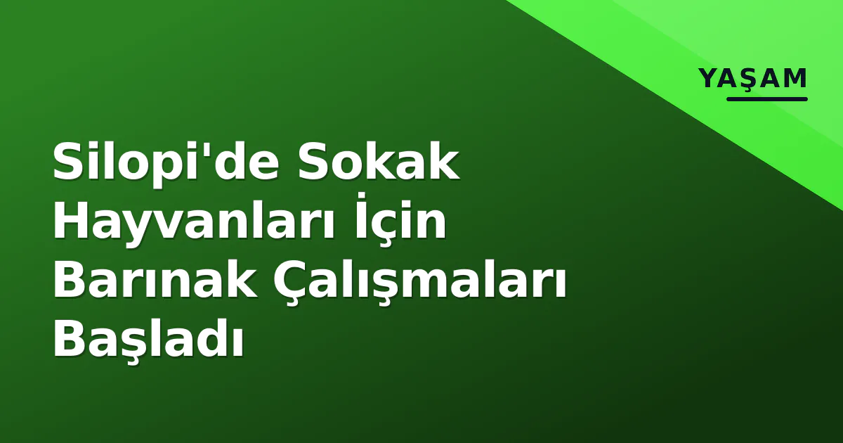 Silopi'de Sokak Hayvanları İçin Barınak Çalışmaları Başladı Silopi'de Sokak Hayvanları İçin Barınak Çalışmaları Başladı