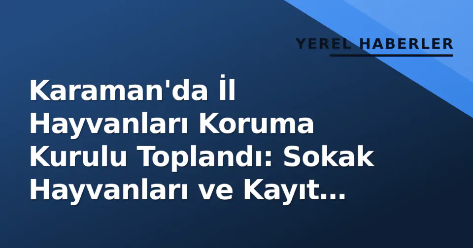 Karaman'da İl Hayvanları Koruma Kurulu Toplandı: Sokak Hayvanları ve Kayıt Sistemi Gündemde görseli