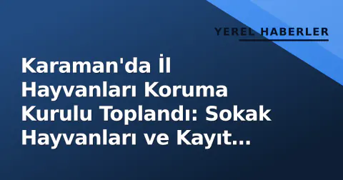 Karaman'da İl Hayvanları Koruma Kurulu Toplandı: Sokak Hayvanları ve Kayıt Sistemi Gündemde