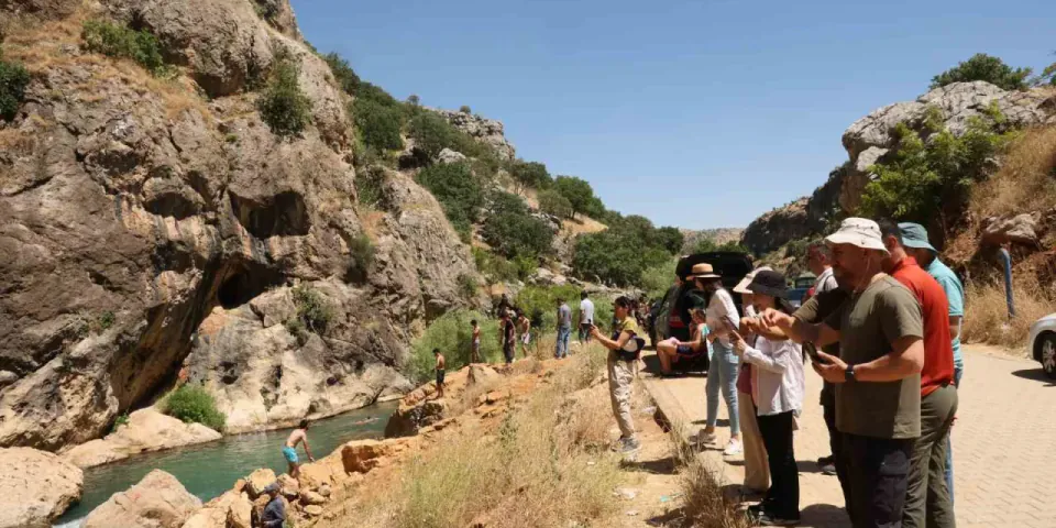 Diyarbakır'da Kral Yolu Rotası Kokartlı Rehberlerle Tanıtıldı görseli