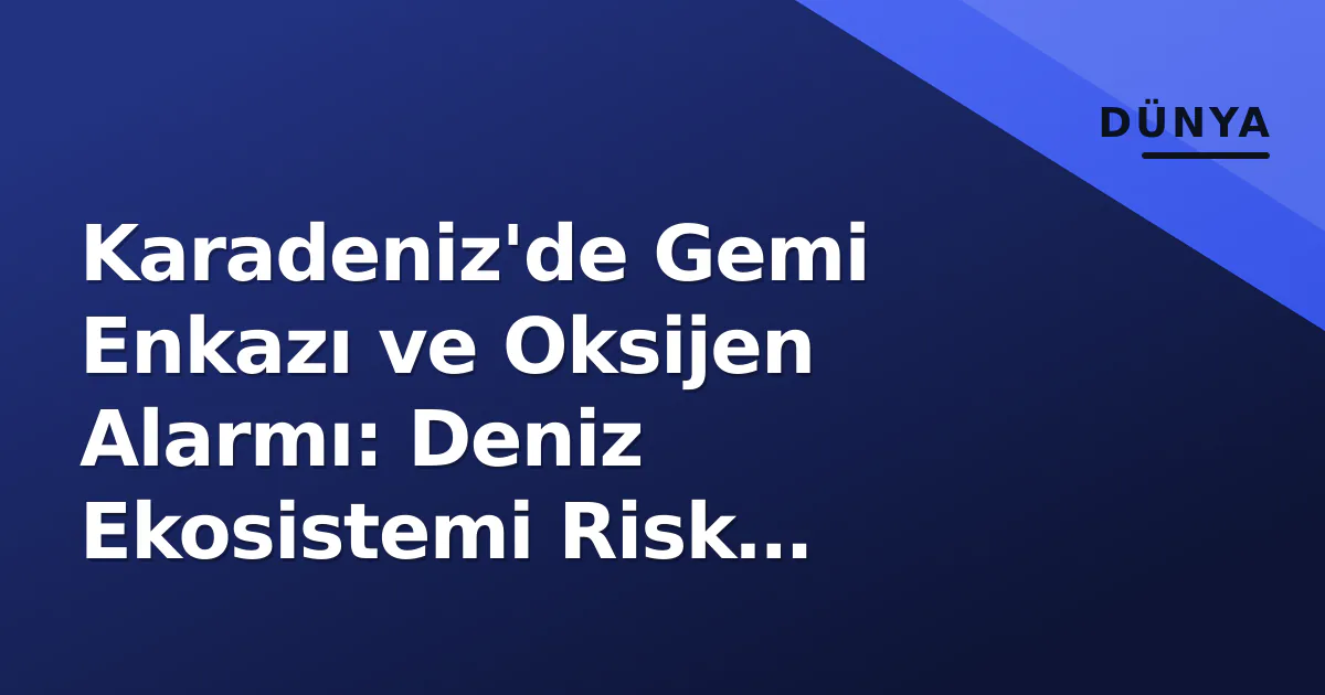 Karadeniz'de Gemi Enkazı ve Oksijen Alarmı: Deniz Ekosistemi Risk Altında Karadeniz'de Gemi Enkazı ve Oksijen Alarmı: Deniz Ekosistemi Risk Altında