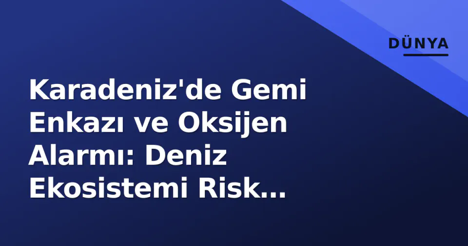 Karadeniz'de Gemi Enkazı ve Oksijen Alarmı: Deniz Ekosistemi Risk Altında görseli