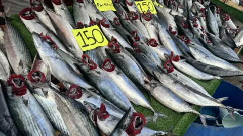 Palamut fiyatlarında şok fark: Rize'de 3'ü 100 TL, Tokat'ta tek başına 150 TL
