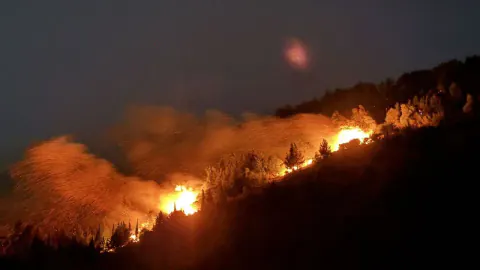 İzmir Bornova'da Orman Yangını: Ekipler Alevlerle Mücadele Ediyor