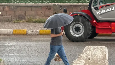 Ahlat'ta Aniden Bastıran Yağmur Hayatı Etkiledi: Meteoroloji'den Uyarı