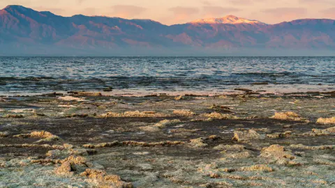 California'da Yapay Zeka Krizi: IVCM Colorado Nehri İçin Mahkemeye Koştu