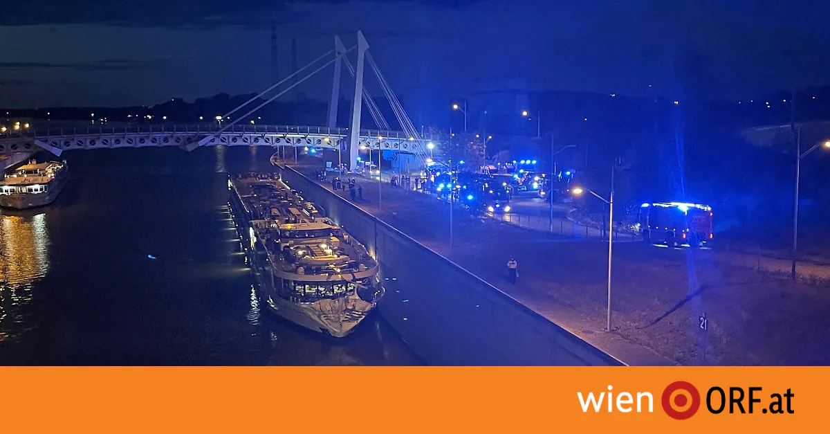 Viyana'da Turistik Gemi Kazası: 14 Yaralı Viyana'da Turistik Gemi Kazası: 14 Yaralı