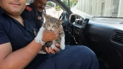 Çankırı'da Araç Kaputuna Giren Yavru Kedi İtfaiye Ekipleri Tarafından Kurtarıldı