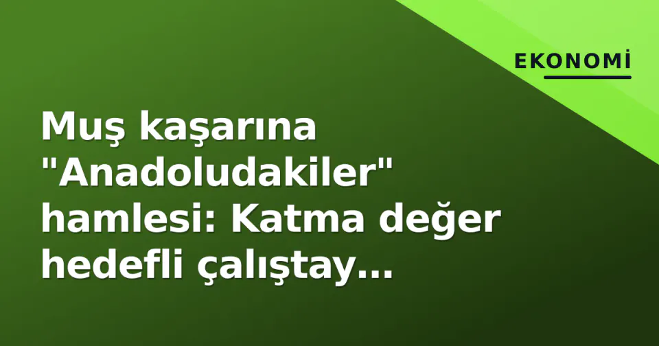 Muş kaşarına "Anadoludakiler" hamlesi: Katma değer hedefli çalıştay yapıldı görseli