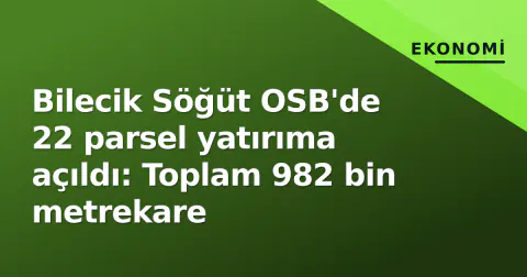 Bilecik Söğüt OSB'de 22 parsel yatırıma açıldı: Toplam 982 bin metrekare