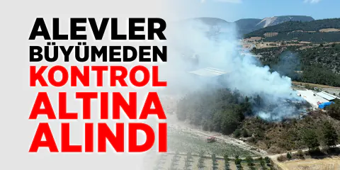 Bilecik'te Elektrik Hattı Yangını Kontrol Altına Alındı Bilecik'te Elektrik Hattı Yangını Kontrol Altına Alındı