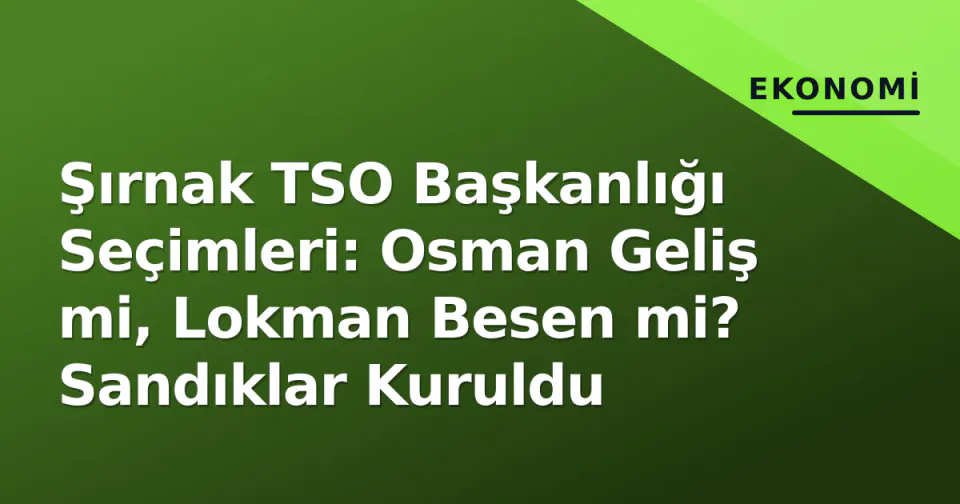 Şırnak TSO Başkanlığı Seçimleri: Osman Geliş mi, Lokman Besen mi? Sandıklar Kuruldu görseli