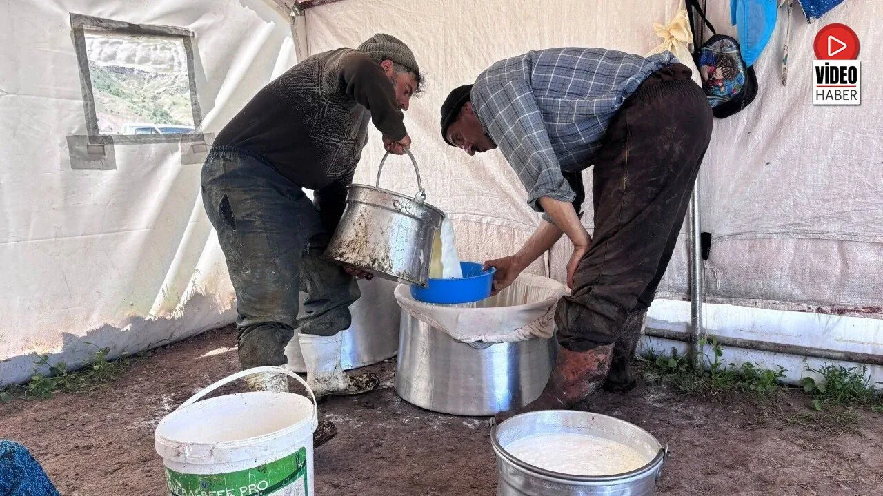 Erzincan Tulum Peyniri Üretiminde Zorlu Koşullar: Üreticiler Aracı Sorununa Tepkili