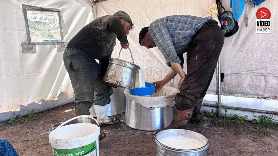 Erzincan Tulum Peyniri Üretiminde Zorlu Koşullar: Üreticiler Aracı Sorununa Tepkili görseli