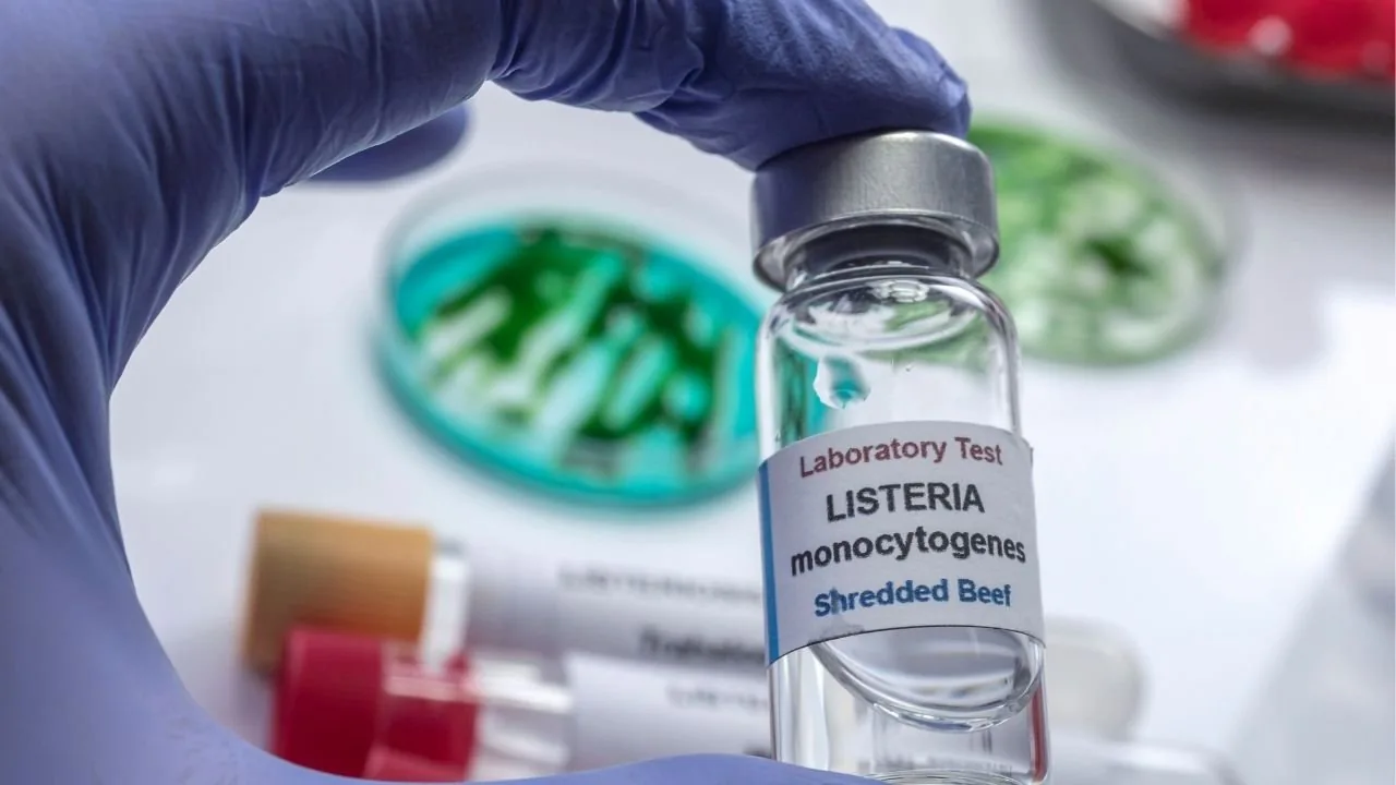 Listeria Bakterisi Gıda Güvenliğinde Kritik Tehdit: Belirtiler ve Korunma Rehberi Listeria Bakterisi Gıda Güvenliğinde Kritik Tehdit: Belirtiler ve Korunma Rehberi