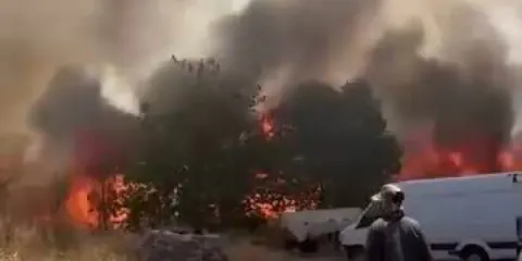 Diyarbakır'da Korkutan Yangın: Yüzlerce Dönüm Arazi Alevlere Teslim Oldu