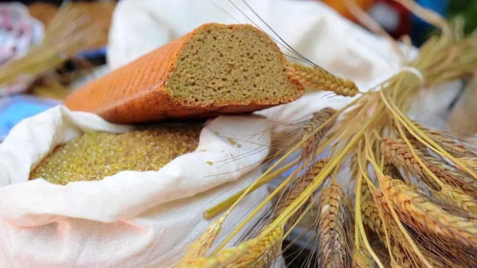 Seferihisar'da 9. Ata Ekmeği ve Armola Şenliği Binlerce Ziyaretçiyle Sahnelendi görseli