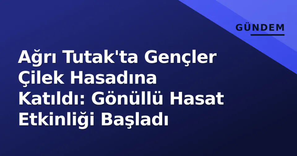 Ağrı Tutak'ta Gençler Çilek Hasadına Katıldı: Gönüllü Hasat Etkinliği Başladı görseli