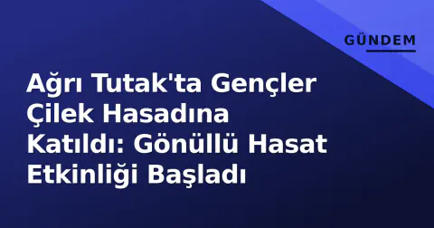 Ağrı Tutak'ta Gençler Çilek Hasadına Katıldı: Gönüllü Hasat Etkinliği Başladı