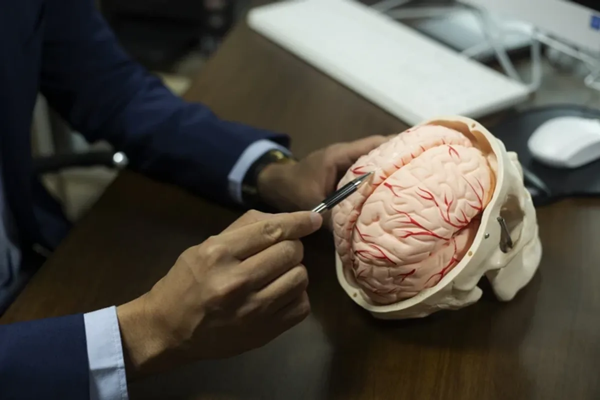 Erkek beyninin olgunlaşma yaşına dair şaşırtıcı gerçek: Süreç ne zaman tamamlanıyor? Erkek beyninin olgunlaşma yaşına dair şaşırtıcı gerçek: Süreç ne zaman tamamlanıyor?