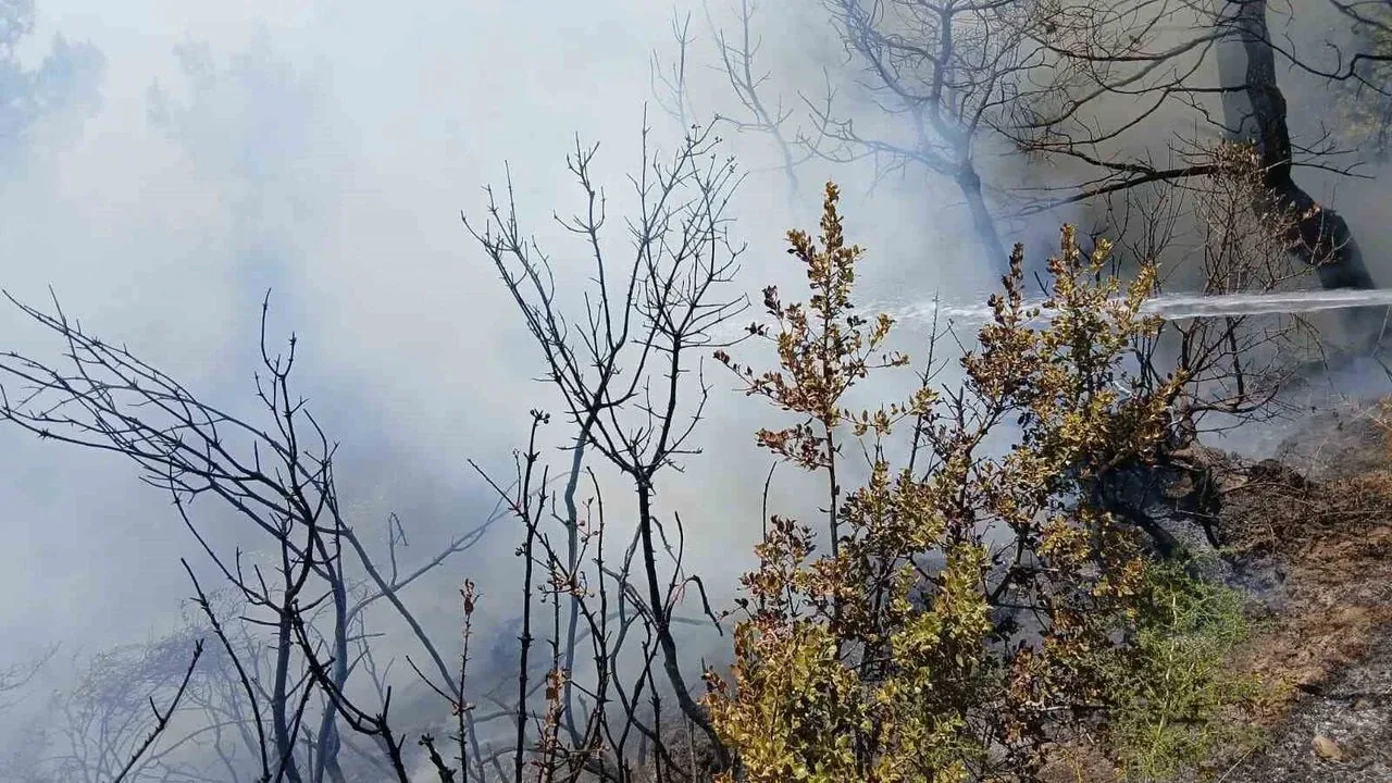 Gemlik'te Piknik Alanı Yangını: Ekipler Zamanla Yarıştı Gemlik'te Piknik Alanı Yangını: Ekipler Zamanla Yarıştı