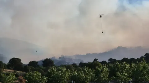 Balıkesir'deki Orman Yangını Kontrol Altına Alındı