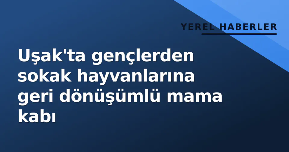Uşak'ta gençlerden sokak hayvanlarına geri dönüşümlü mama kabı görseli