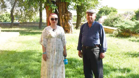 Yozgat Divanlı’da 300 Yıllık Dut Ağacı: İkiye Bölünmüş Gövdesiyle Hâlâ Yeşeriyor